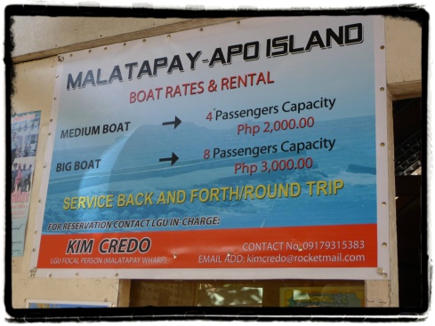 Boat rental rated going to Apo Island