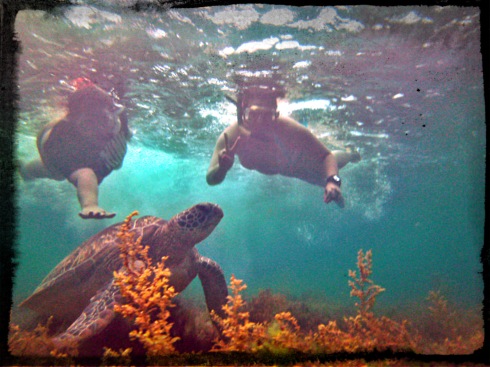 Swimming with the slow, deliberate and graceful Pawikans of Apo Island